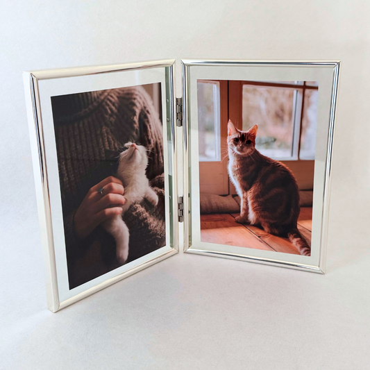 Premium Metal Frame - Double