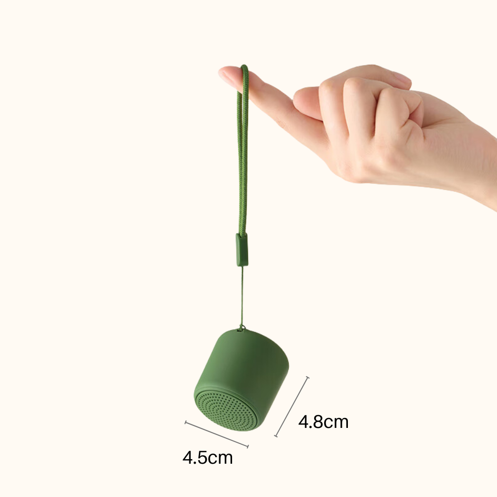 Mini Speaker