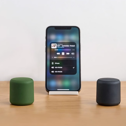Mini Speaker