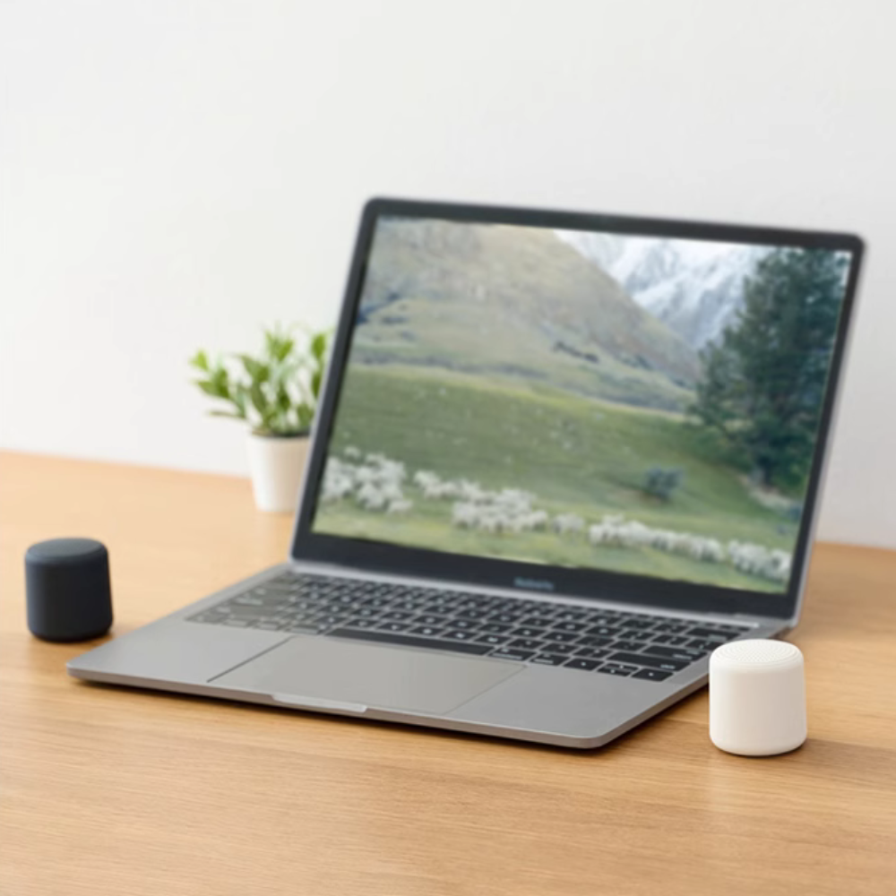 Mini Speaker