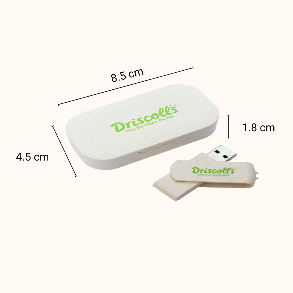 USB Flash Drive